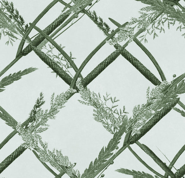 MindTheGap ORNAMENTAL REED Greenlake THE WETLANDS A story of Danube's Delta Wallpaper