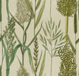 MindTheGap RIVERSIDE FLORA Taupe THE WETLANDS A story of Danube's Delta Wallpaper