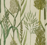 MindTheGap RIVERSIDE FLORA Taupe THE WETLANDS A story of Danube's Delta Wallpaper