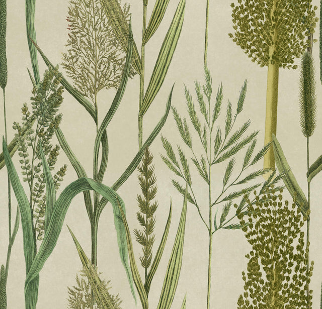 MindTheGap RIVERSIDE FLORA Taupe THE WETLANDS A story of Danube's Delta Wallpaper