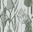 MindTheGap RIVERSIDE FLORA Offwhite THE WETLANDS A story of Danube's Delta Wallpaper