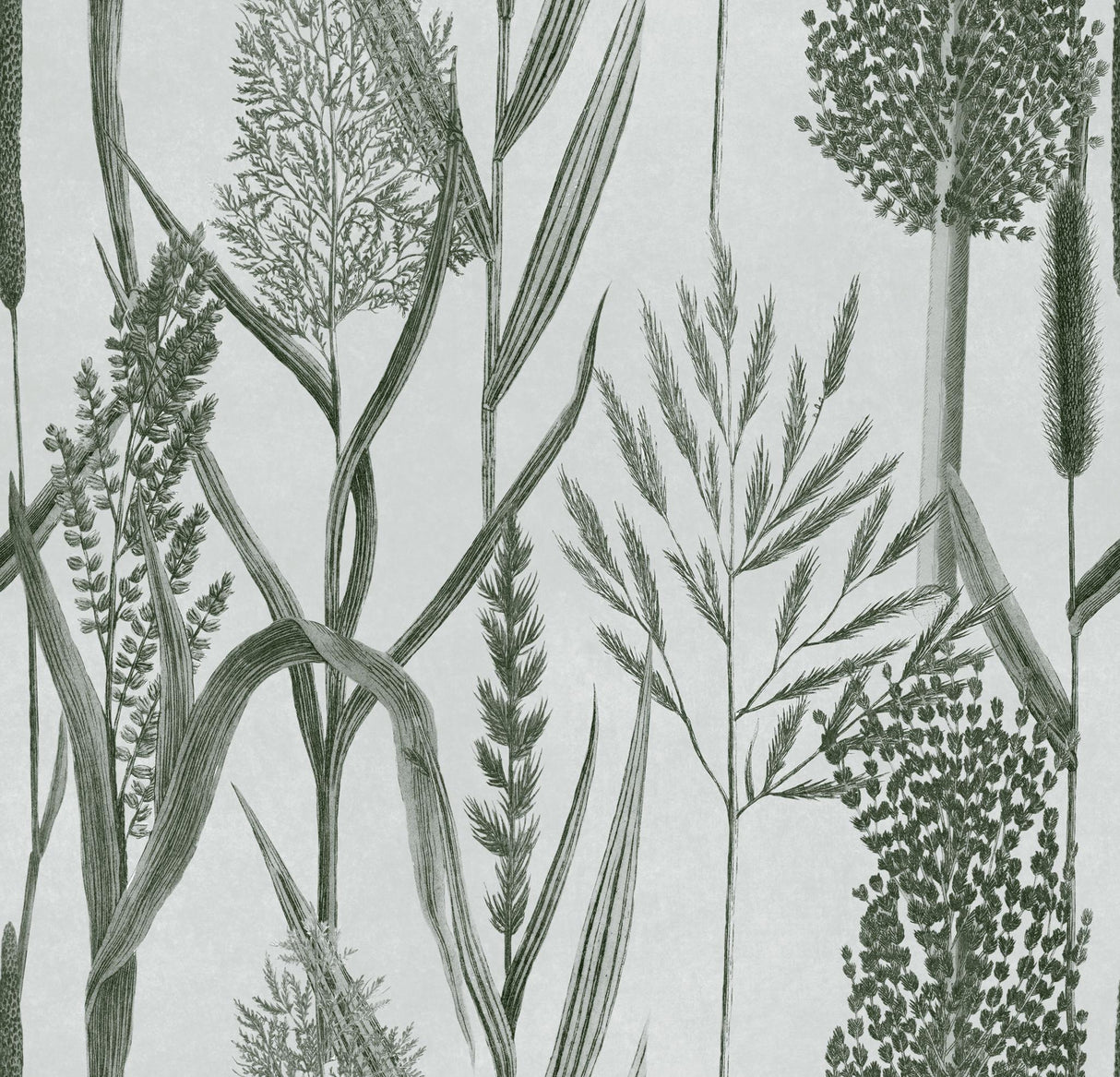 MindTheGap RIVERSIDE FLORA Offwhite THE WETLANDS A story of Danube's Delta Wallpaper