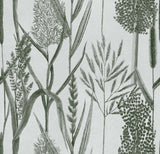MindTheGap RIVERSIDE FLORA Offwhite THE WETLANDS A story of Danube's Delta Wallpaper