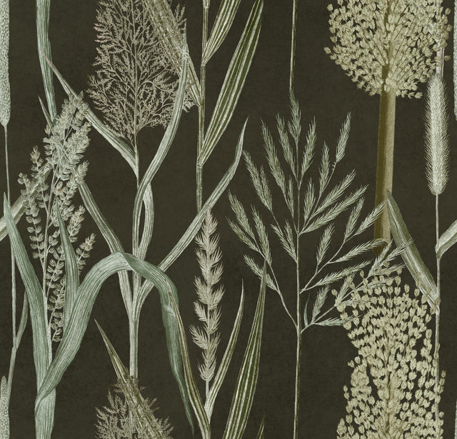 MindTheGap RIVERSIDE FLORA Anthracite THE WETLANDS A story of Danube's Delta Wallpaper