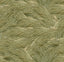 MindTheGap TRIFLORA Spring THE WETLANDS A story of Danube's Delta Wallpaper