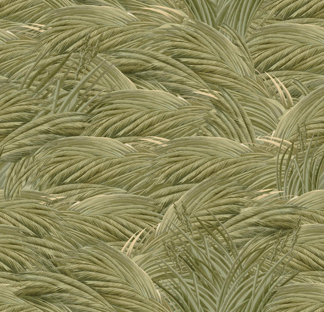 MindTheGap TRIFLORA Spring THE WETLANDS A story of Danube's Delta Wallpaper
