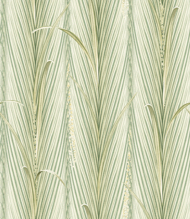 MindTheGap DANUBE FOLIAGE Spring THE WETLANDS A story of Danube's Delta Wallpaper