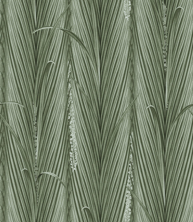 MindTheGap DANUBE FOLIAGE Absinthe THE WETLANDS A story of Danube's Delta Wallpaper