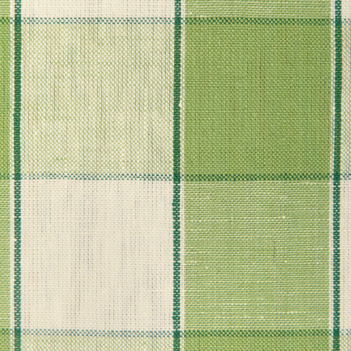 Brunschwig & Fils CLEMENS CHECK GREEN Fabric