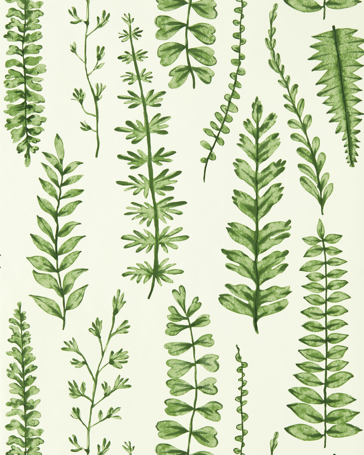 Scion FERNS JUNIPER Wallpaper