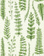 Scion FERNS JUNIPER Wallpaper