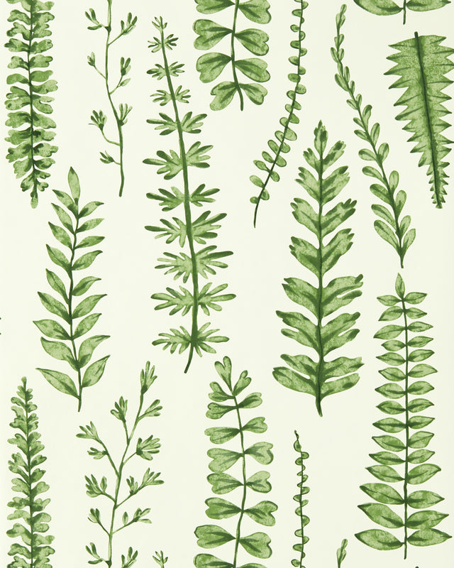 Scion FERNS JUNIPER Wallpaper