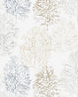 Scion SOETSU WP SPICE/RAFFIA Wallpaper
