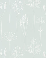 Scion STIPA FROST Wallpaper