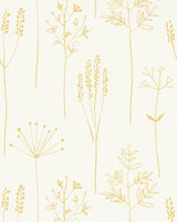 Scion STIPA HONEY Wallpaper