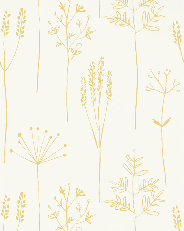 Scion STIPA HONEY Wallpaper