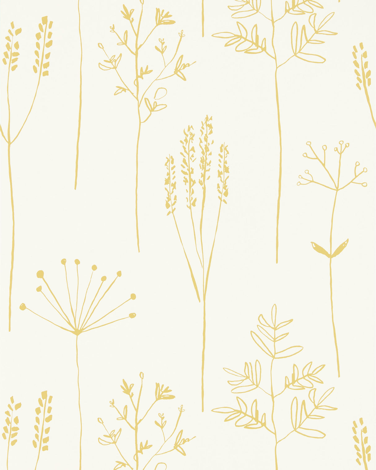 Scion STIPA HONEY Wallpaper