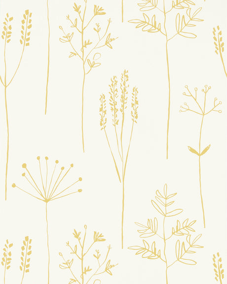 Scion STIPA HONEY Wallpaper
