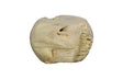 Phillips Collection Teak Wood Ball Sculpture Bleached Accent