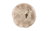Phillips Collection Teak Wood Ball Sculpture Bleached Accent