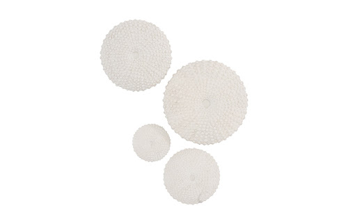 Phillips Collection Sea Urchin , Set Of 4 Off White Wall Art