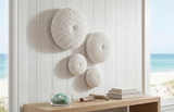 Phillips Collection Sea Urchin , Set Of 4 Off White Wall Art