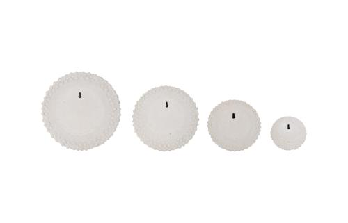 Phillips Collection Sea Urchin , Set Of 4 Off White Wall Art