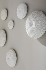 Phillips Collection Sea Urchin , Set Of 4 Off White Wall Art