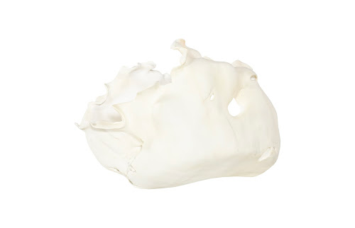 Phillips Collection Cast Root , Open Faux Bleached Bowl