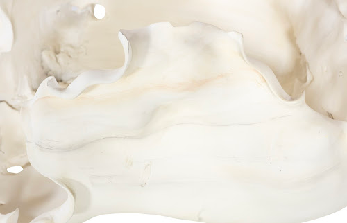 Phillips Collection Cast Root , Open Faux Bleached Bowl