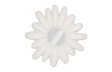 Phillips Collection Radial Shell White Stone Mirror