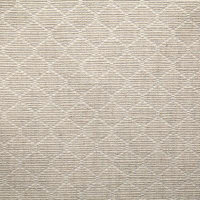 Pindler PATRICK STONE Fabric