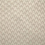 Pindler PELTRY TUSSAH Fabric