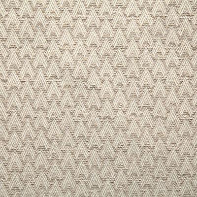 Pindler PELTRY TUSSAH Fabric