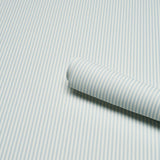 Schumacher Emma Stripe Narrow Sky Wallpaper