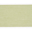 Schumacher Sandpiper Tape Wide Green Trim