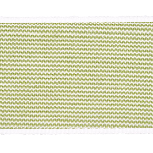 Schumacher Sandpiper Tape Wide Green Trim