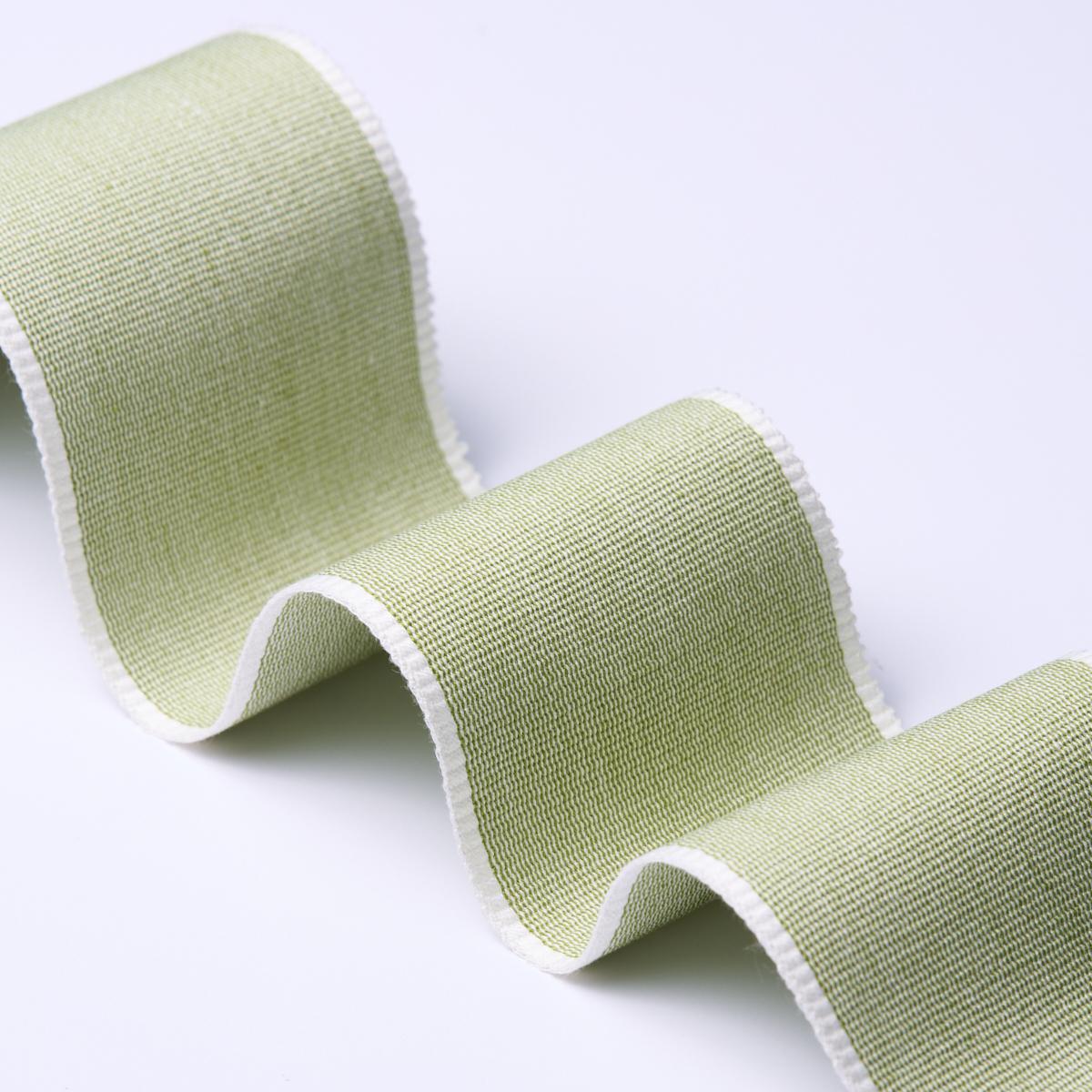 Schumacher Sandpiper Tape Wide Green Trim