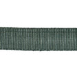 Schumacher Patina Medium Faille Tape