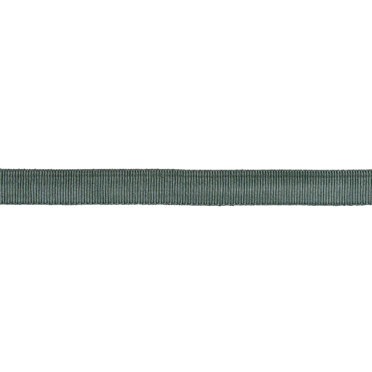 Schumacher Patina Medium Faille Tape