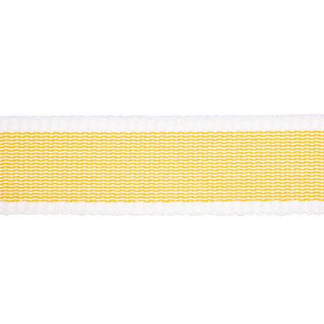 Schumacher Sandpiper Tape Narrow Yellow Trim