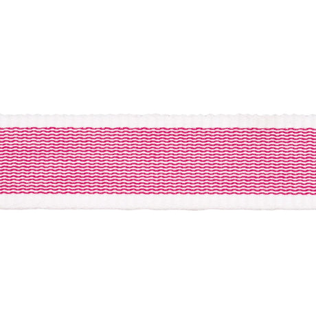 Schumacher Sandpiper Tape Narrow Pink Trim