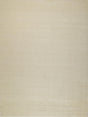 Exquisite Rugs Exquisite Rugs Velutto Modern Handmade Silky Nylon in 6541 Light Beige 6' x 9' Area Rug