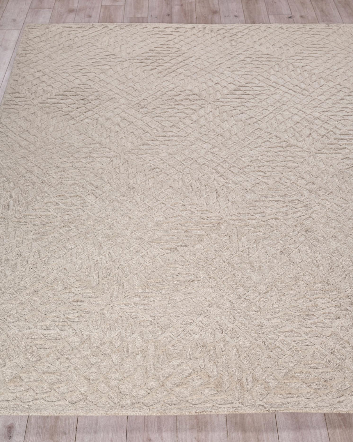 Exquisite Rugs Exquisite Rugs Sandro Handmade New Zealand Wool in 7150 Silver 6' x 9' Area Rug