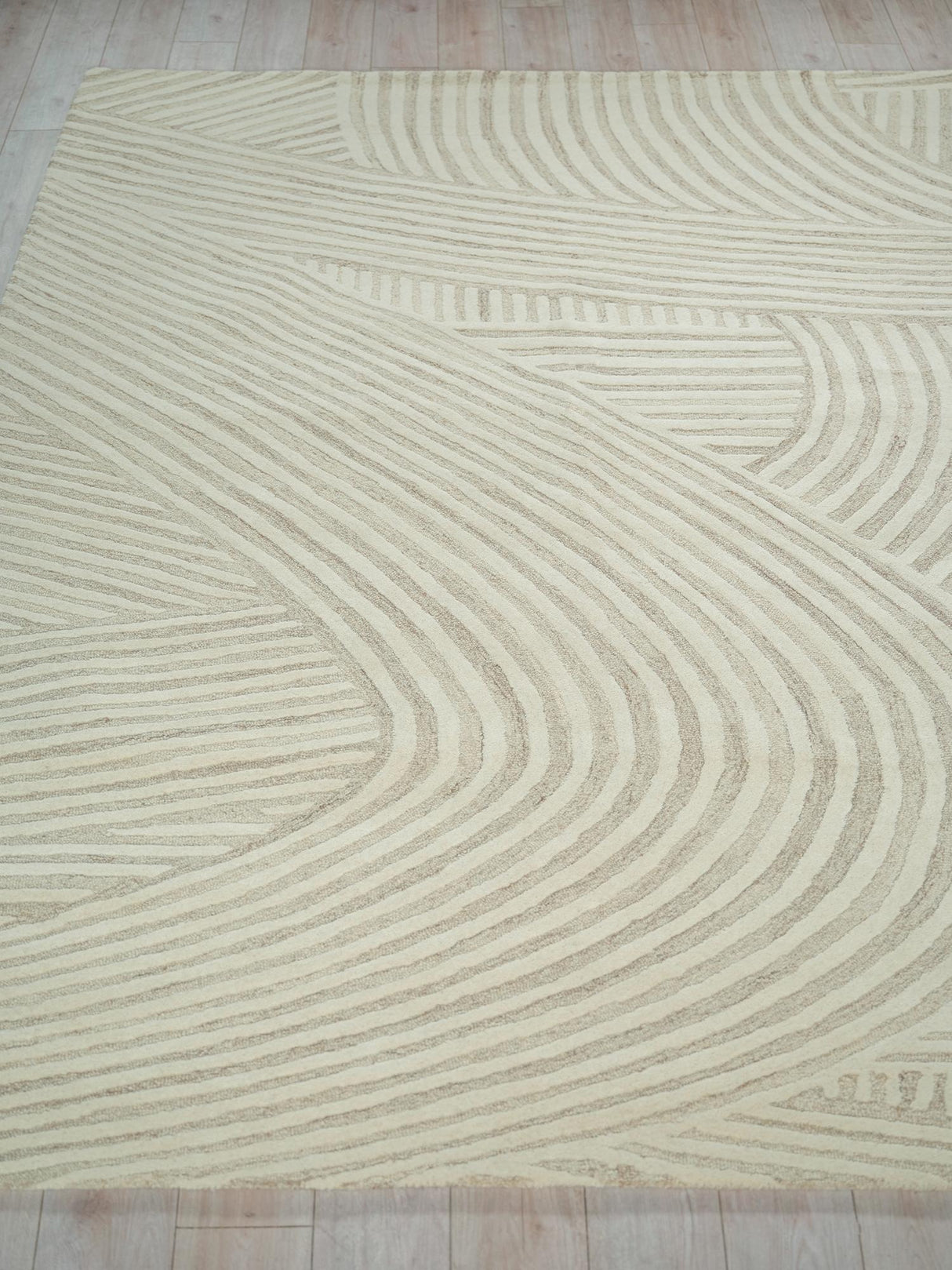 Exquisite Rugs Exquisite Rugs Entro Handmade New Zealand Wool 7183 Beige/Ivory 4' x 6' Area Rug