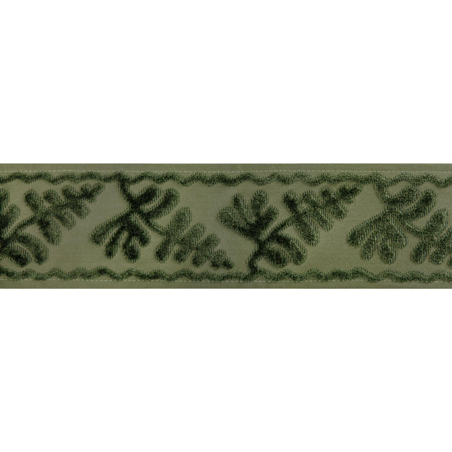 Brunschwig & Fils CASSIS TAPE PERIDOT Trim