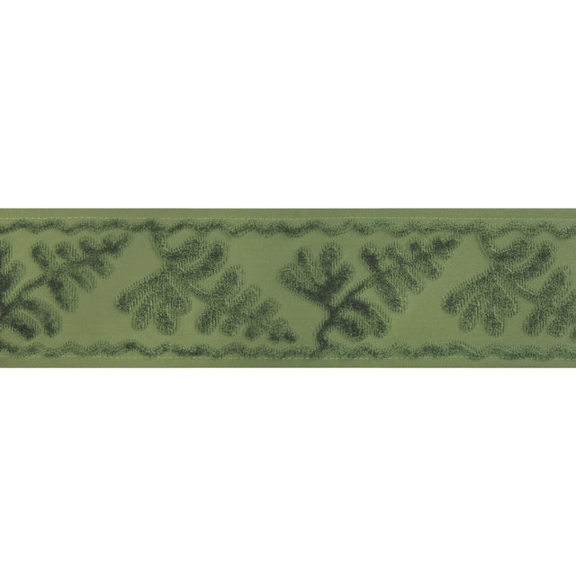 Brunschwig & Fils CASSIS TAPE SAGE Trim