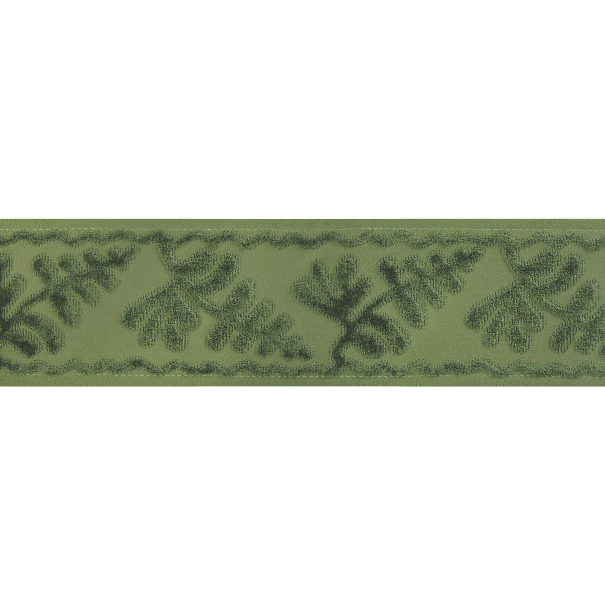 Brunschwig & Fils CASSIS TAPE SAGE Trim