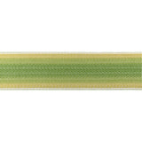 Brunschwig & Fils BARFLEUR TAPE LEAF Trim