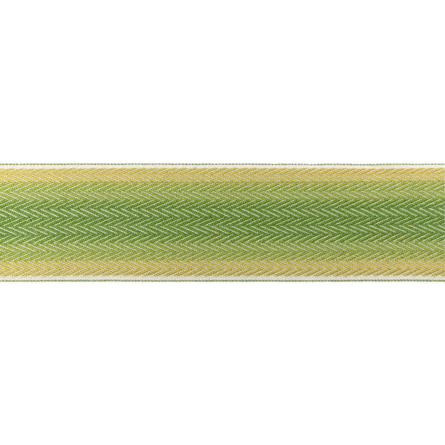Brunschwig & Fils BARFLEUR TAPE LEAF Trim